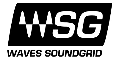 Waves SG Logo Large
